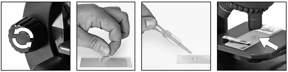 BRESSER 9119501 National Geographic Mikroskop Microscope 40X-64X - Normal observation