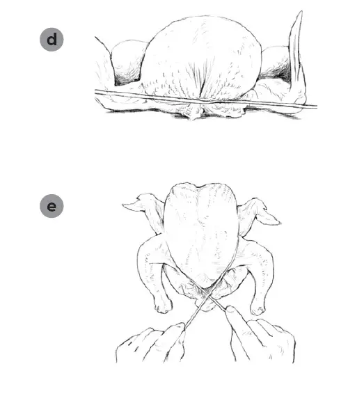 GoWISE-GW44800-0-Deluxe-Air-Fryer-Oven-17