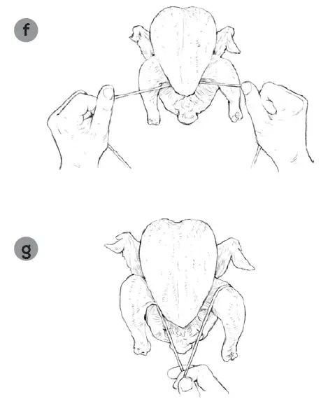 GoWISE-GW44800-0-Deluxe-Air-Fryer-Oven-18