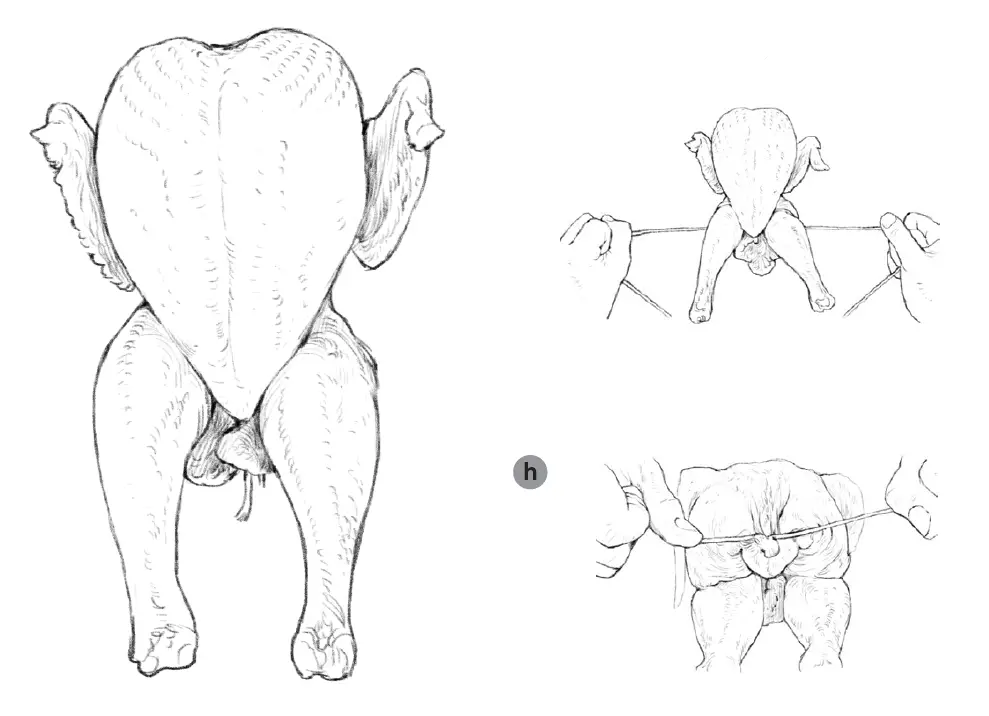 GoWISE-GW44800-0-Deluxe-Air-Fryer-Oven-19