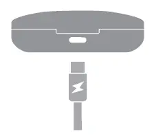 Charging Case Charging