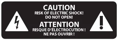 Deepmind 12-Voice Polyphonic Synthesizer with 4 FX Engines User Guide - Caution Risk of Electric Shock icon