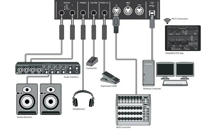 Deepmind 12-Voice Polyphonic Synthesizer with 4 FX Engines User Guide - DeepMind 12 Hook-up