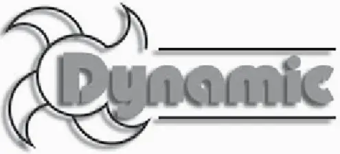 Dynamic Logo