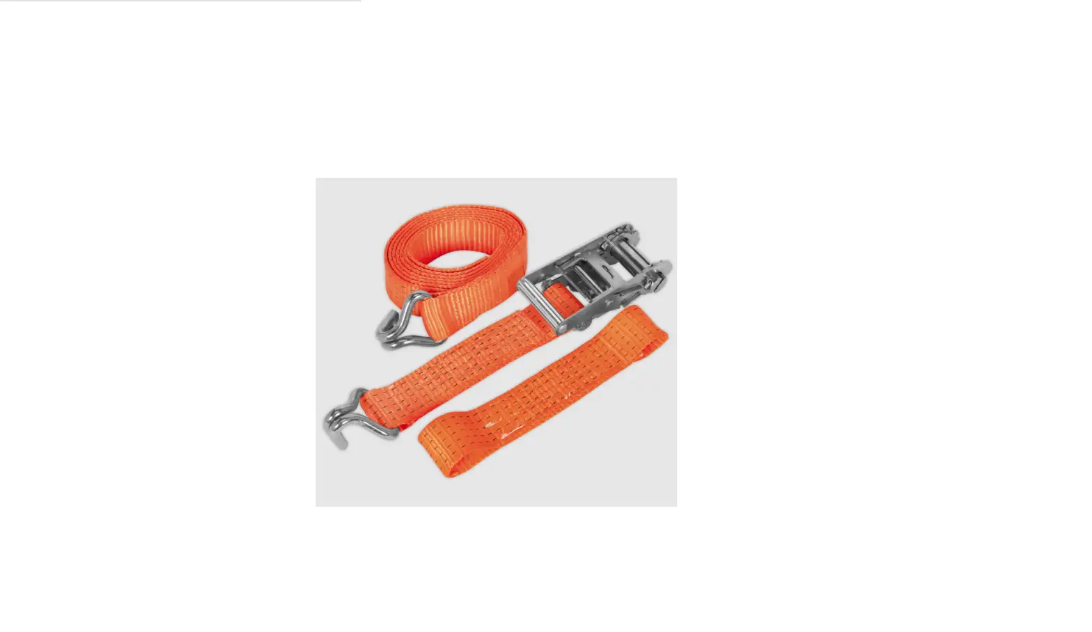 Sealey Tdrwa Car Transporter Ratchet Tie Down User Manual