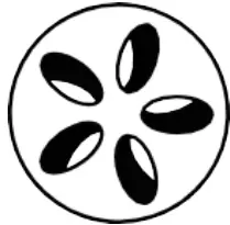 KOBE 8923 Kamado XXL Charcoal Grill - Top vent 2