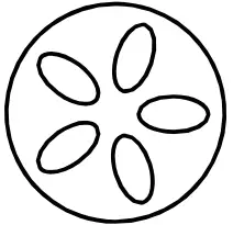 KOBE 8923 Kamado XXL Charcoal Grill - Top vent