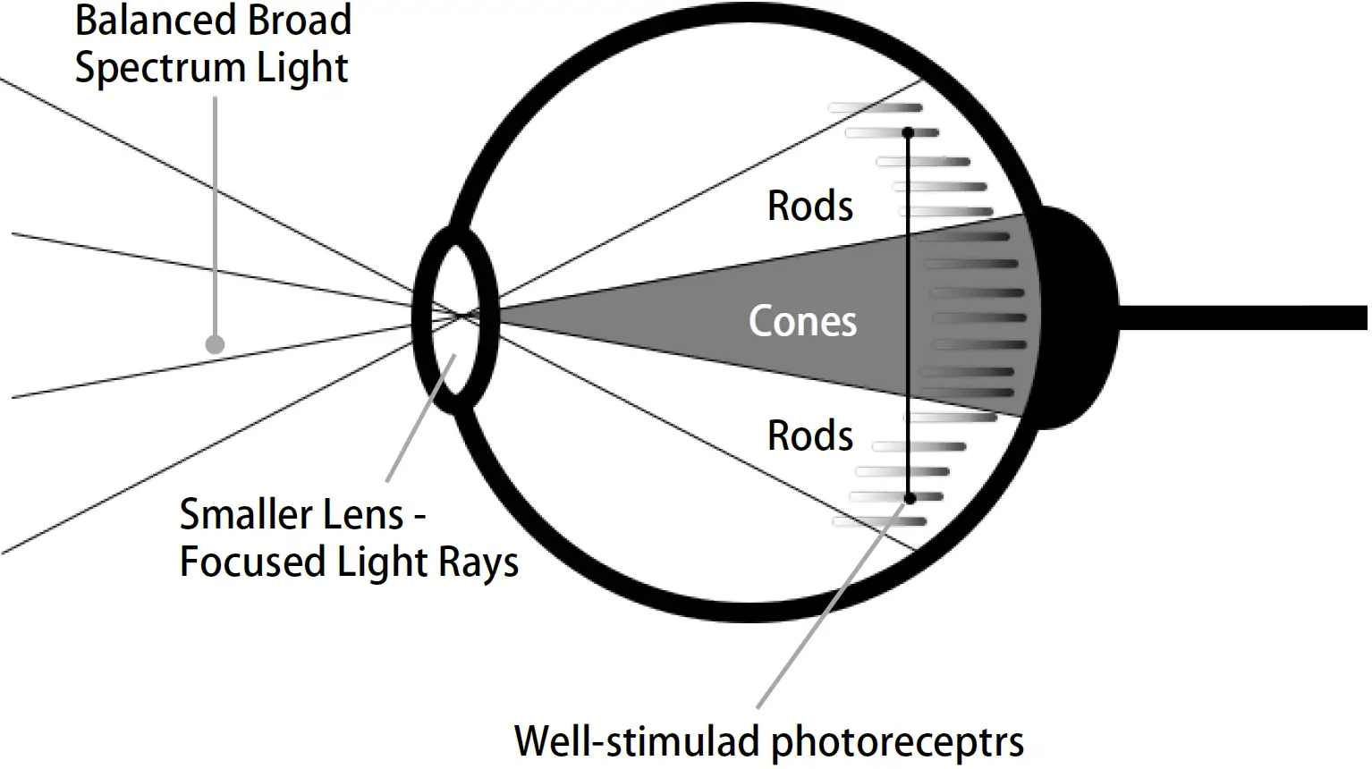global-sources-JSK-60-LED-Daylight-Lamp-01