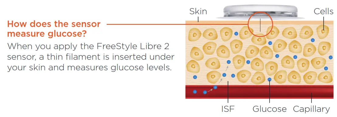Abbott Freestyle Libre 2 System Starter Kit -Fig 20