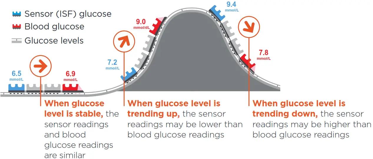 Abbott Freestyle Libre 2 System Starter Kit -Fig 21