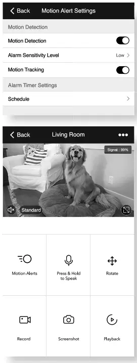 geeni GN CW047199 Smart Wi Fi Camera - Main Screen