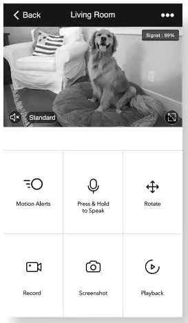 geeni GN CW047199 Smart Wi Fi Camera - Screenshot