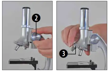 BRESSER 8851000 Junior Biotar DLX 300 1200x Microscope - Normal Observation