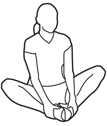 BODY-FLEX-BRT5088-Sports-Body-Power-Fly-Wheel-Resistance-Cross-trainer-27