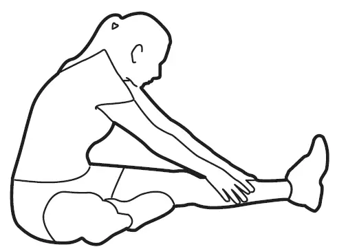 BODY-FLEX-BRT5088-Sports-Body-Power-Fly-Wheel-Resistance-Cross-trainer-28