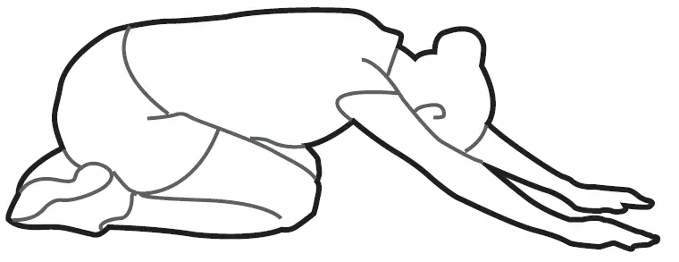 BODY-FLEX-BRT5088-Sports-Body-Power-Fly-Wheel-Resistance-Cross-trainer-31