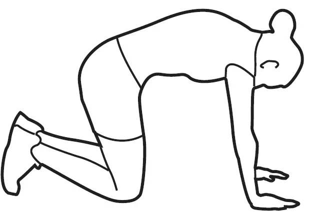 BODY-FLEX-BRT5088-Sports-Body-Power-Fly-Wheel-Resistance-Cross-trainer-32