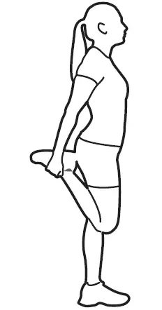 BODY-FLEX-BRT5088-Sports-Body-Power-Fly-Wheel-Resistance-Cross-trainer-34