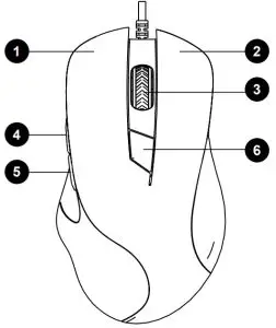 The functional buttons