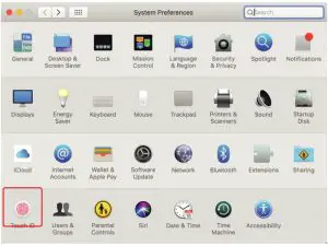 Display Settings Window