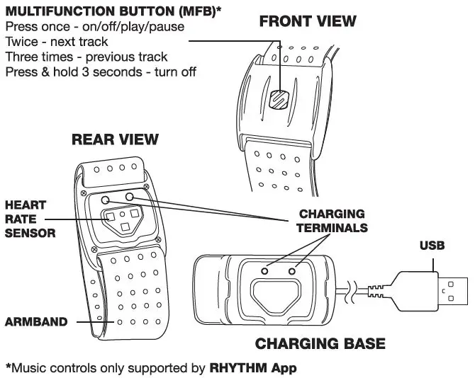 Parts of heart rate monitor