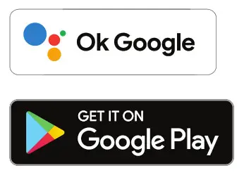 JBL 300TWS Wireless Earbuds Have Both Google Assistant- Google Assistant 2