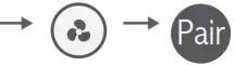 Pair