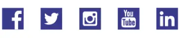 Social media icon