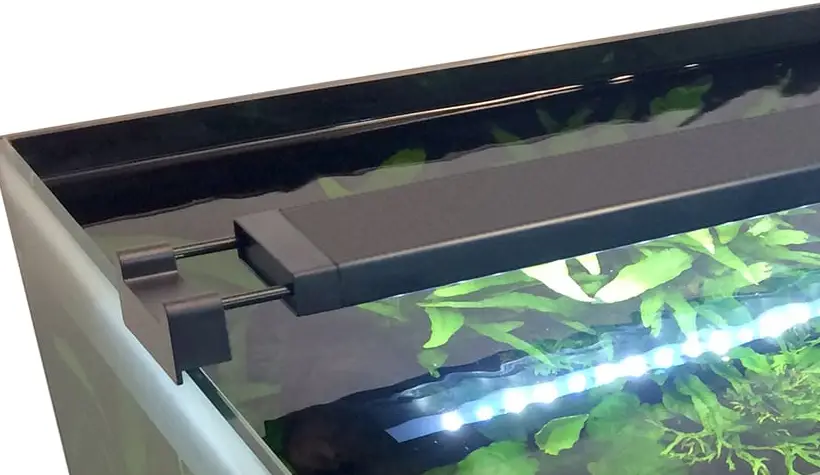 FLUVAL-SIENA-LED-Strip-Lights and-Aquarium-product-image
