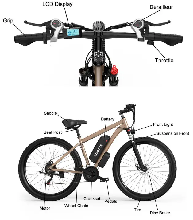 DUOTTS 291 Electric Bike -Product Overview