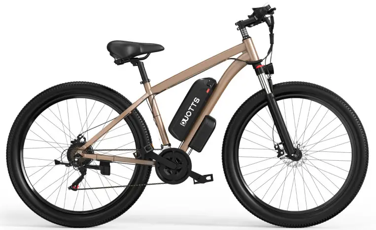 DUOTTS 291 Electric Bike
