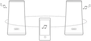Connections With UBOOMs