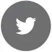 Twitter Grey