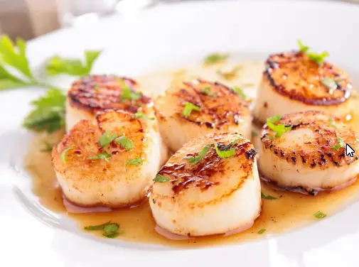 Season scallops