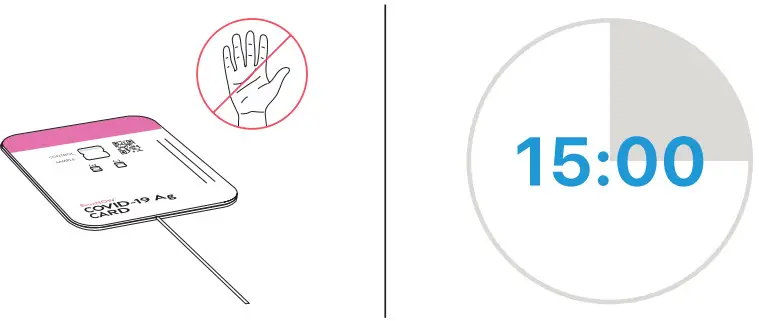 Abbott BinaxNOW COVID-19 Ag Card Home - during this time