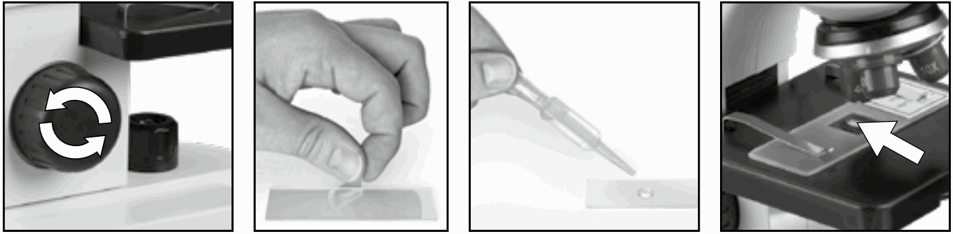 BRESSER 8856000 Junior Optic Microscop - fig 1