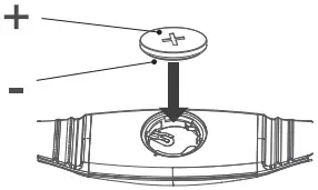 MAXXUS HRM 3.1 5.3KHz Heart Rate A10