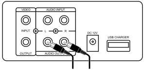 Rear Panel Connections: