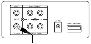 Rear Panel Connections: