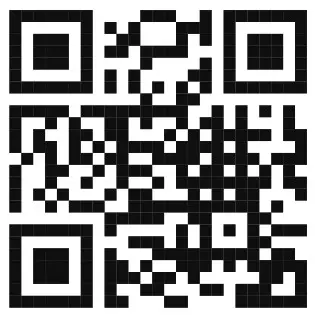 RadioMaster T8 2.4G Remote Control - Qtr