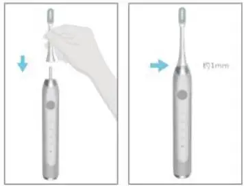 WHITOP CD-B Induction Charger Instruction Manual - Install the toothbrush head correctly on the toothbrush head shaft