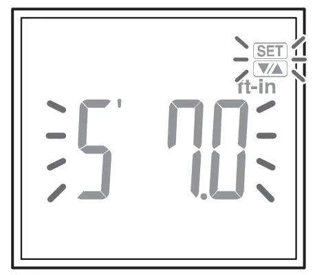 TANITA BC401F Body Composition Monitor - display 8