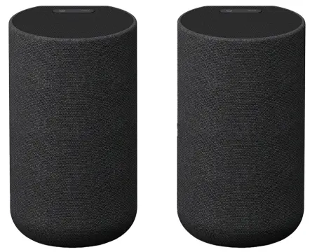 SONY SA-RS5 Wireless Rear Speaker