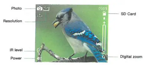 JSTOON Nv-3186 Digital Night Vision Goggles User Guide - Photo Mode