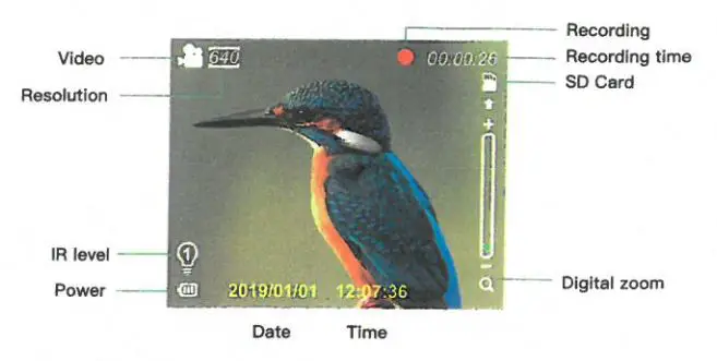 JSTOON Nv-3186 Digital Night Vision Goggles User Guide - Video Mode