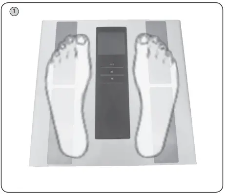 eta 3780 Cindy Digital Personal Scale-fig2