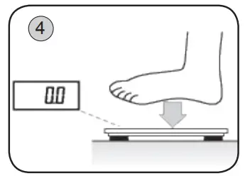 eta 3780 Cindy Digital Personal Scale-fig5