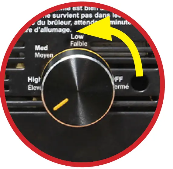 VISION GRILL Professional Kamado Gas 17