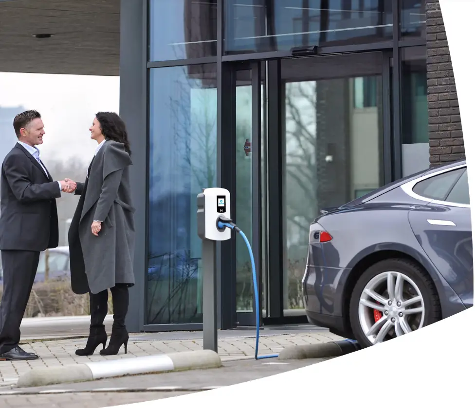 ALFEN Eve Single S Line and Pro Line fig 1