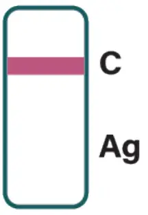 IMMUVIEW R0182CHT COVID-19 Antigen Home Test - fig 16